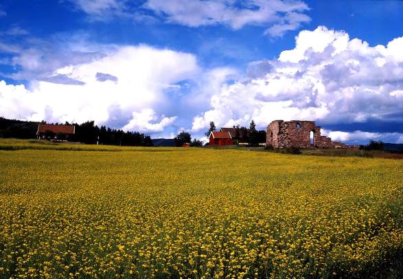 Kirkeruinene i Maridalen