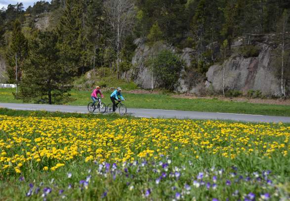 Cycling tour "The Syndle round" 47 km