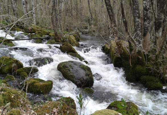 Green route - Hommersåkruta