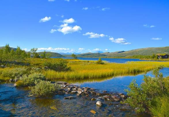 The Svartfjell Trail (12 km)