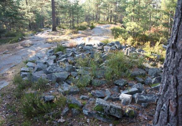 The Pilgrim’s Route 1 - Moss - Son