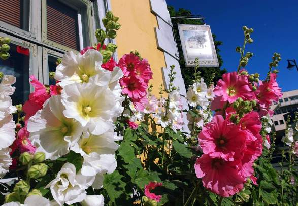 Galleri Henrik Gerner