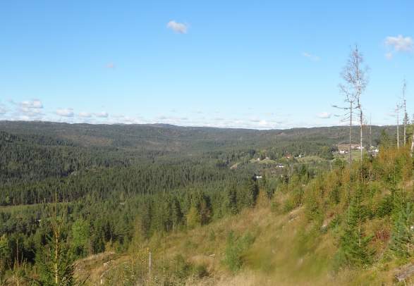 Almannavegen 250-400 m.o.h