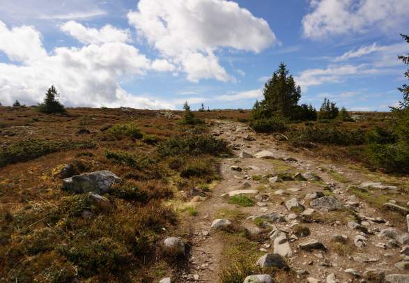 Pellestova to Nevelfjell (2 hours roundtrip)