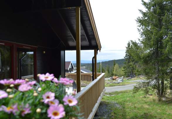 Nordseter Fjellpark, Hytteutleie