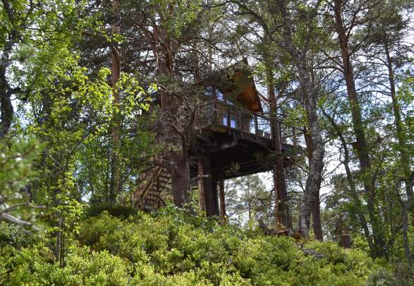 Hytta i treet (The tree top hut)