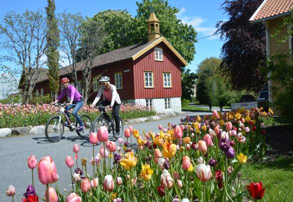 Experience RAET National Park in Grimstad on bike