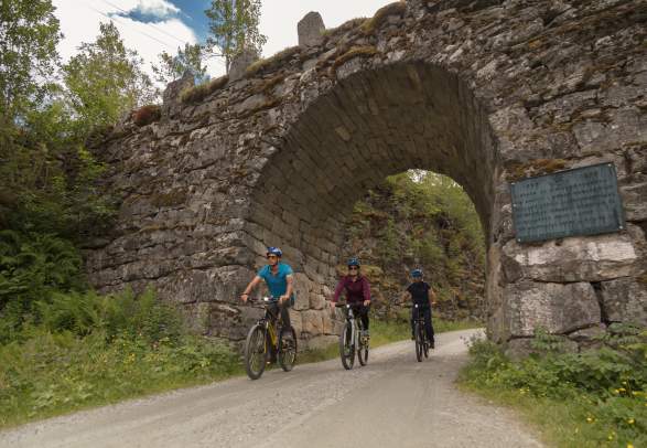 E-bike & Bike Rental