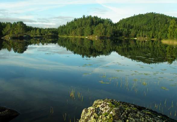 Våjemyrene hiking trip