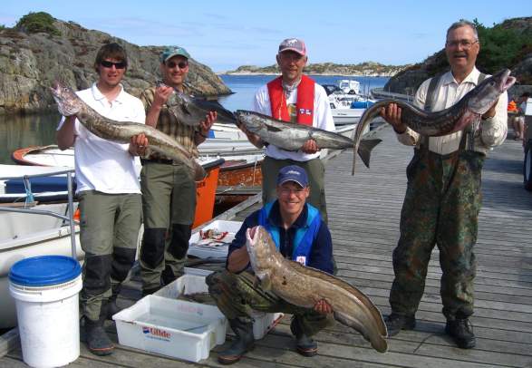 Fishing trips - Skottevik Feriesenter