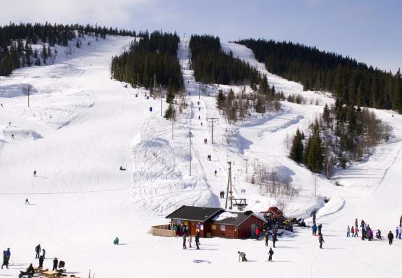 Rena Alpine and Skicentre