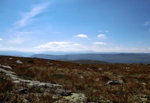 Borgsjåbrotet 1456 masl