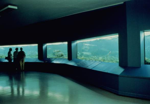 Norwegian Wild Salmon Centre