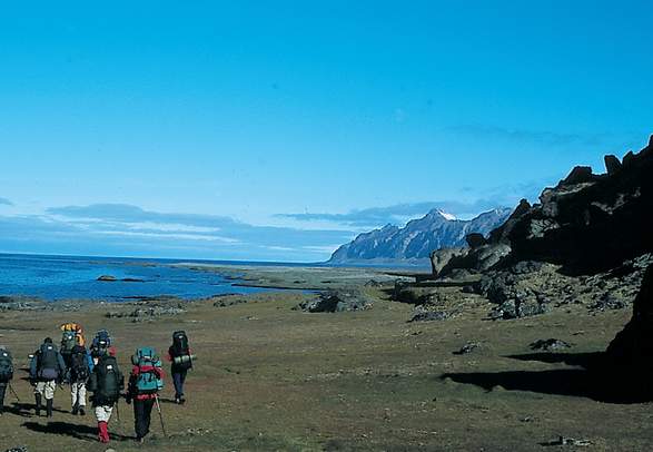 Prins Karls summer expedition 9 days: Hike on the west coast of Spitsbergen - Svalbard Wildlife Expeditions