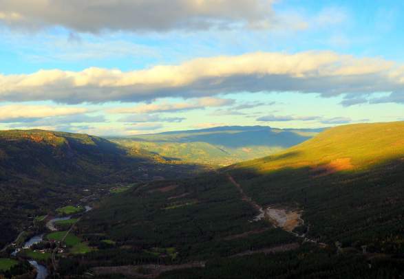 Okslenuten Ål in Hallingdal