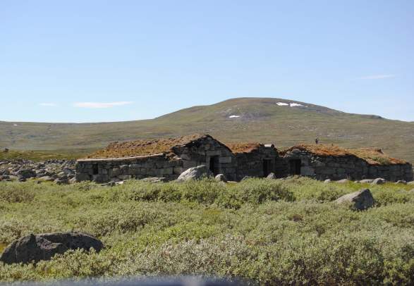DYRANUT - BJOREIDALEN - TRONDSBU - TINNHØLVEGEN - DYRANUT (COMBINED HIKE AND MINIBUS)