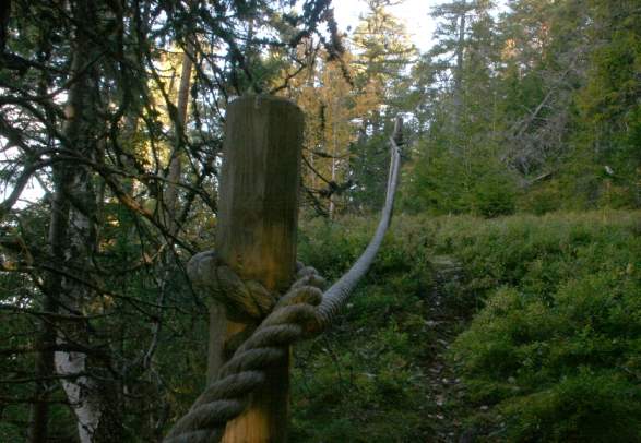Hiking route: Ørdalen Nature Reserve