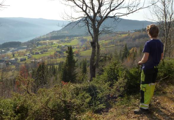 Hellingstølen Ål in Hallingdal