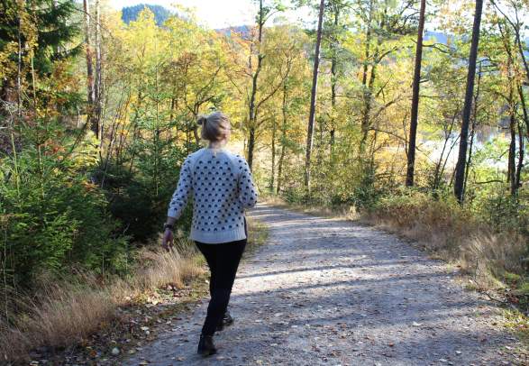 Skjekkeland - Skeie turvei