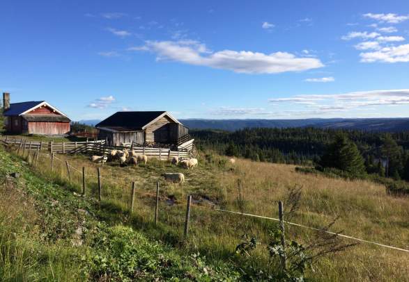 Einarset rond (Easy 14 km) - Gol