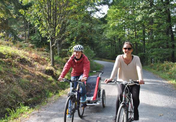 Cycling tour "The lake Rore round" 12 km