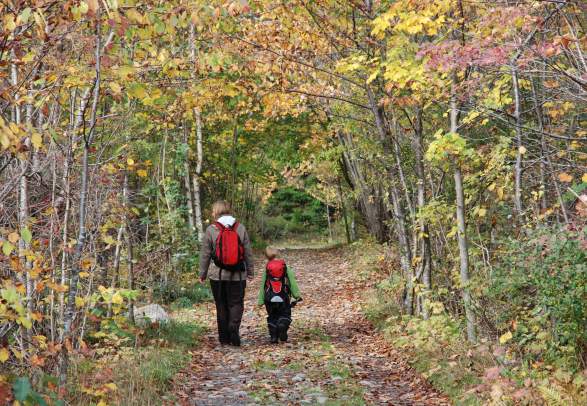 Hiking area at Hove and Spornes