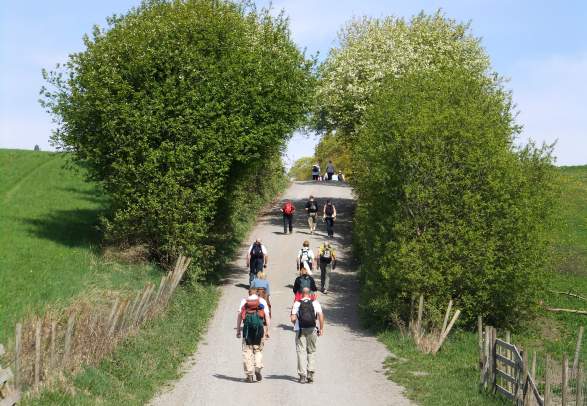 The St. Olav way from Bønsnes - Ringerike - Hadeland - Toten - Gjøvik