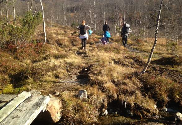 Vigdalen - Vigdalstøl