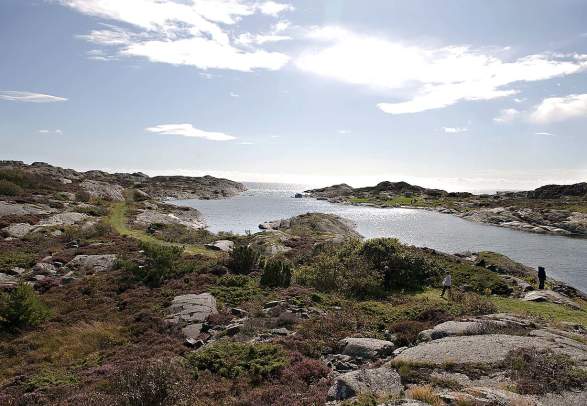 Randøya