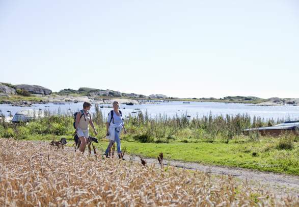 The coastal path through Vestfold