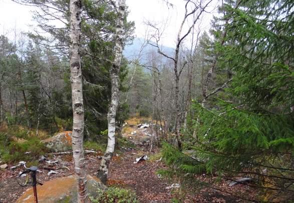 Flyvraket - return trip 7 km