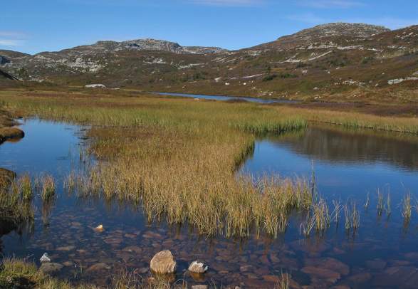 Jøronnatten and Røksbu