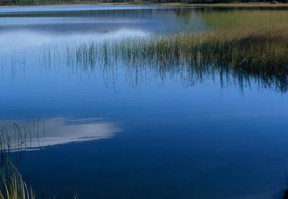 Femundsmarka National Park