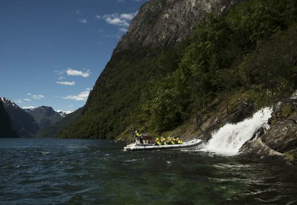 Mini Fjord Safari 1,5h