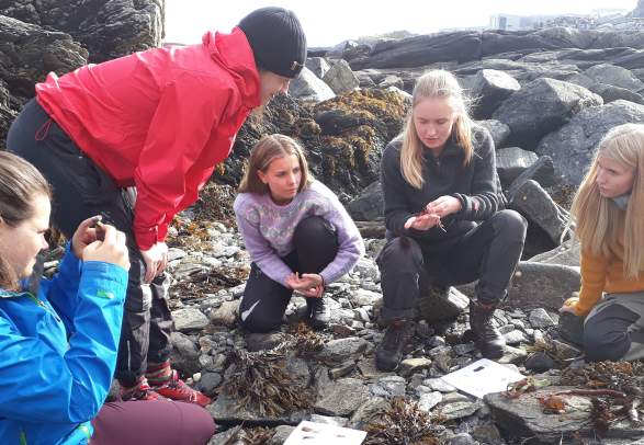 Seaweed safari 1,5 hour