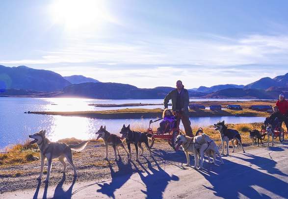 Beito Husky Tours - Summer dog sledding