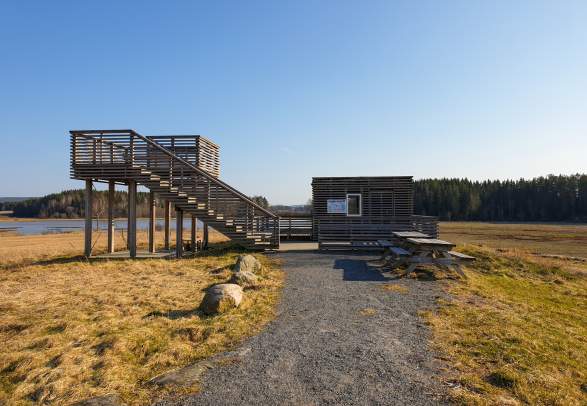 Birdwatching: The Dillevik bird tower