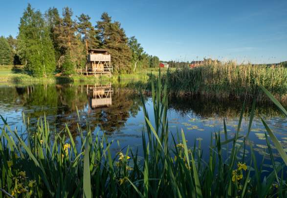 Birdwatching: Gjølsjøen birdtower, Marker