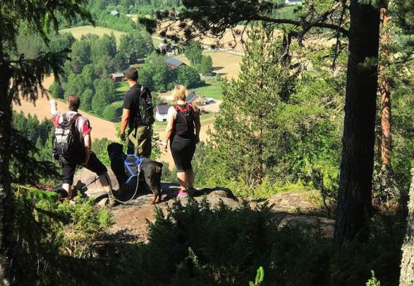 Guided activities in the beautiful wilderness of Finnskogen