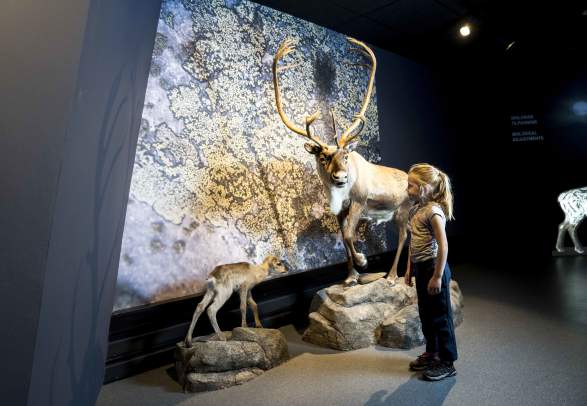 Hardangervidda National Park Centre