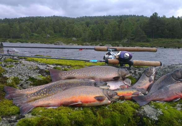 Activities at Heddan Gjestegard