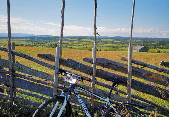 Bicycle rental | Pellestova Hotell