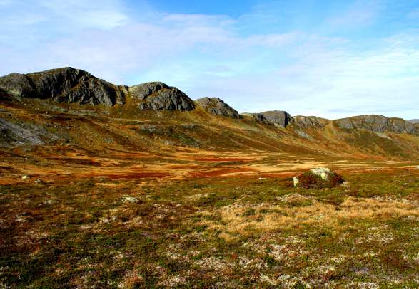 Stølskardnuten - round trip 8 km
