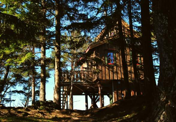 Spettespiret - en hytte i tretoppene