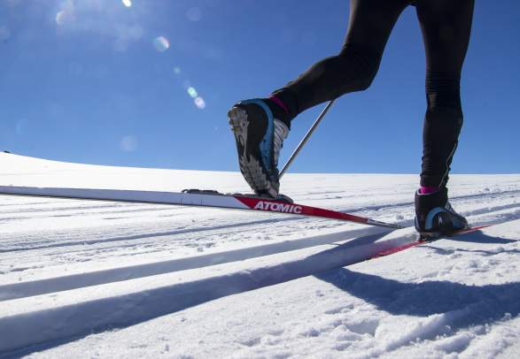 Cross-country taster