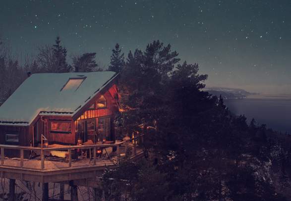 Tretopphytter Oslofjord