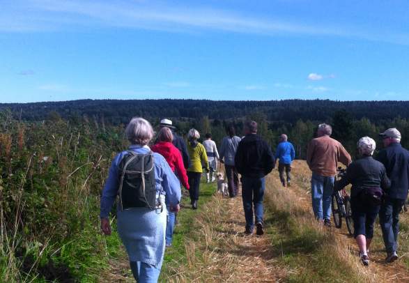 The pilgrim trail from Tandsæter to Hoffsvangen