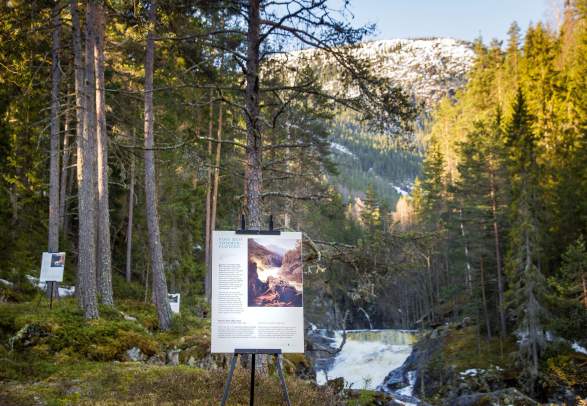 Art walk Nesbyen (In Gude's footsteps)