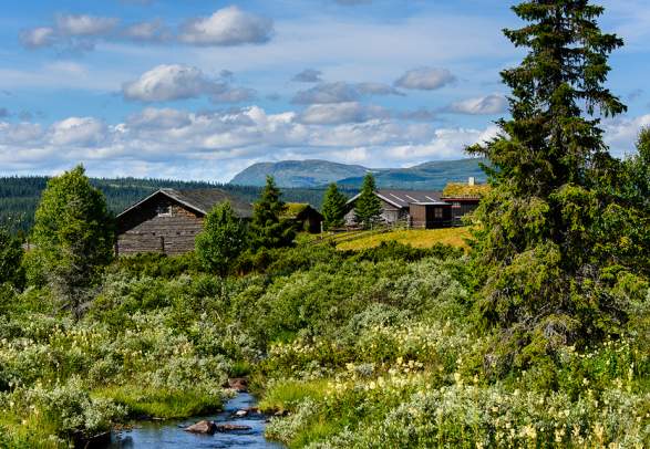 Langsua Nasjonalpark