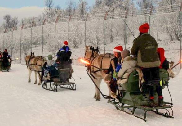 Horse sledding at Langedrag